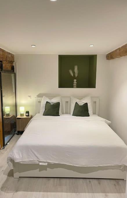 Appartement L'Ambitieux - Centre De Vienne Extérieur photo